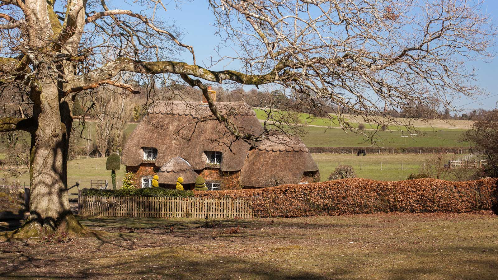 New Forest House